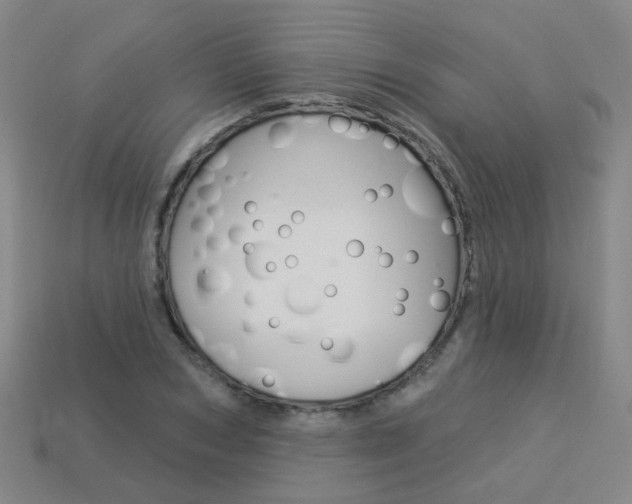 X0000114100978200910051227
