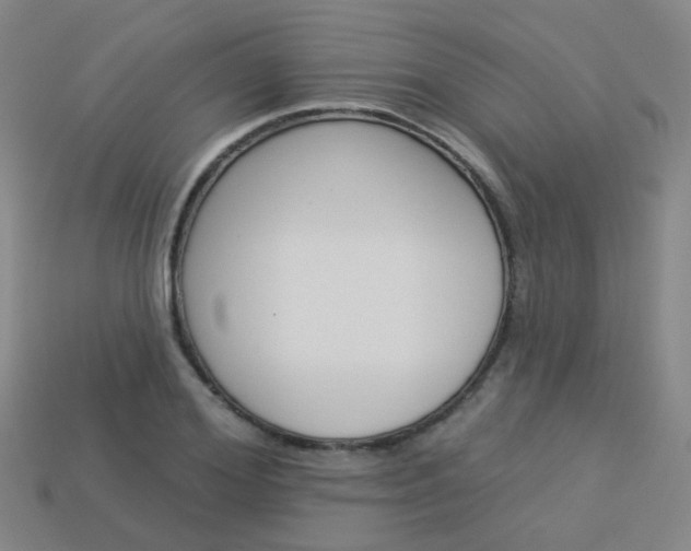 X0000114100980200910051227