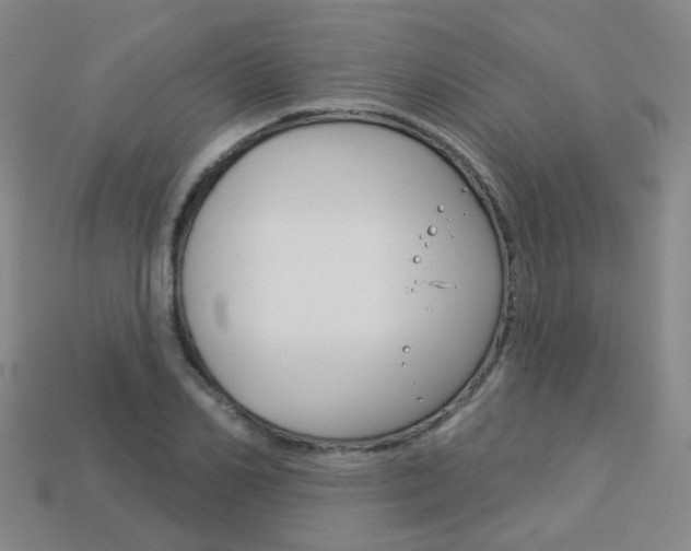 X0000114100982200910051227