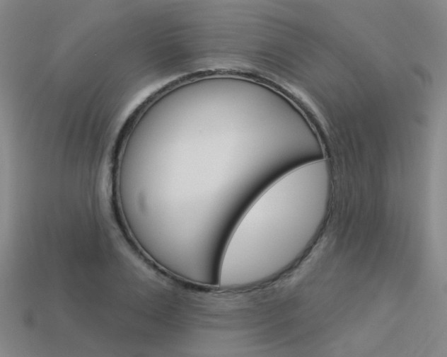 X0000114100983200910051227