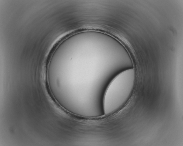X0000114100984200910051227
