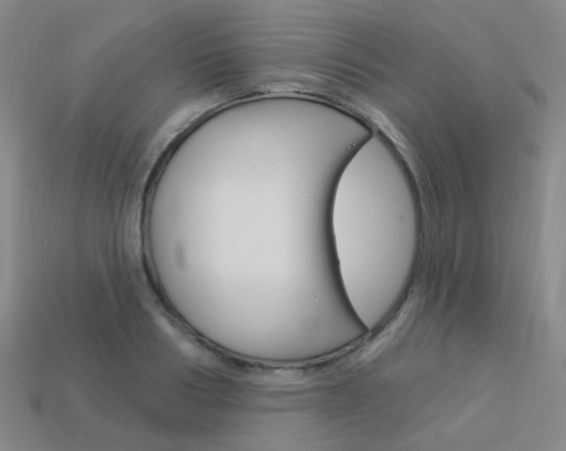 X0000114100986200910051227