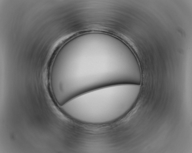 X0000114100987200910051226