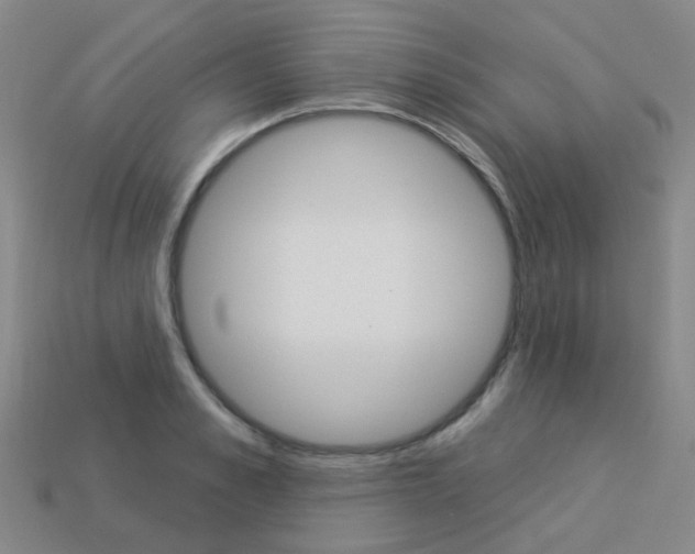 X0000114100989200910051226
