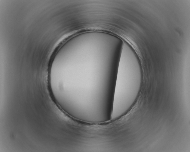 X0000114100992200910051226