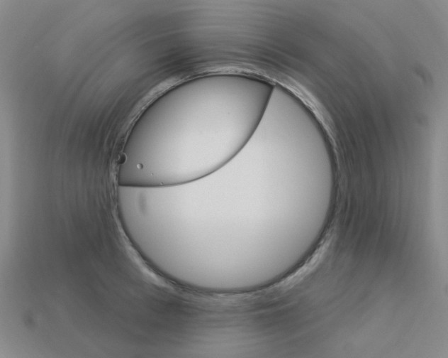 X0000114100993200910051226