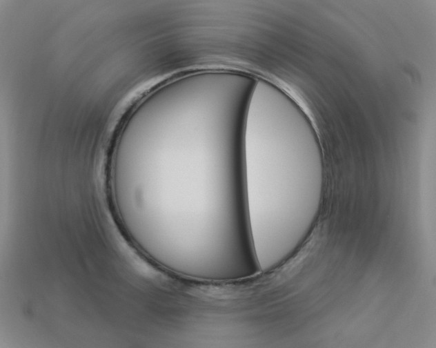 X0000114100995200910051226