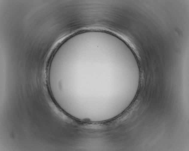 X0000114100998200910051226