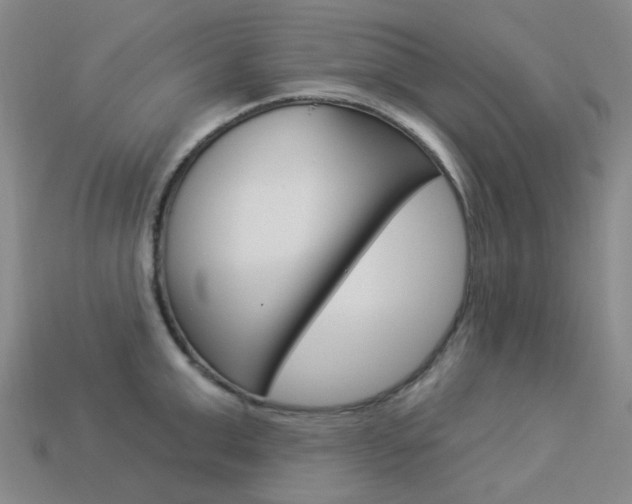 X0000114100999200910051226