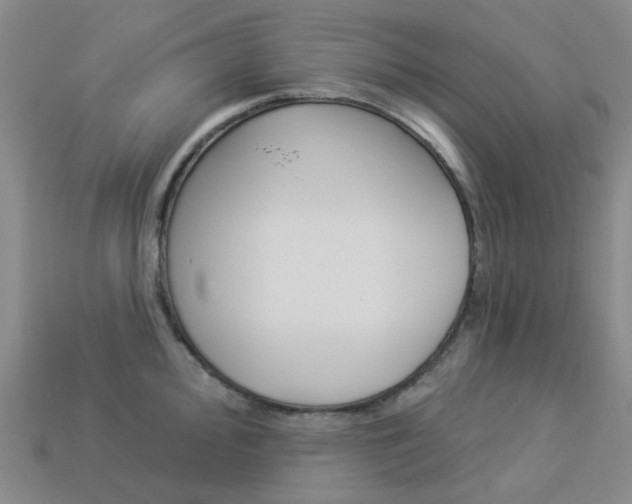 X0000114101000200910051226