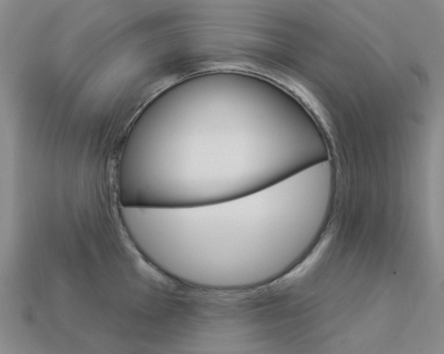 X0000114101001200910051226