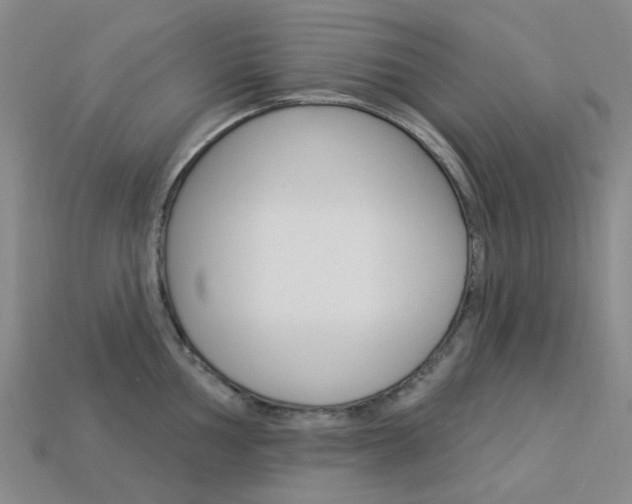 X0000114101002200910051226