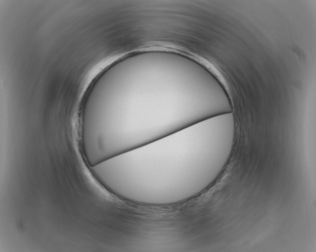 X0000114101003200910051226