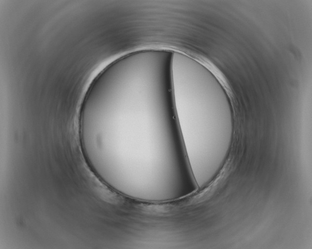 X0000114101004200910051226