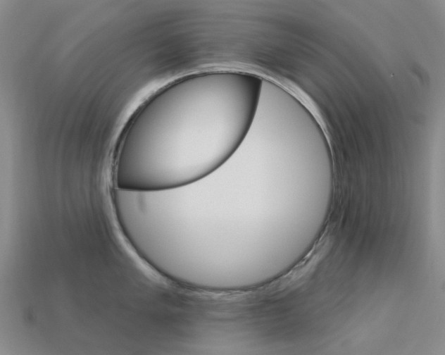 X0000114101005200910051226