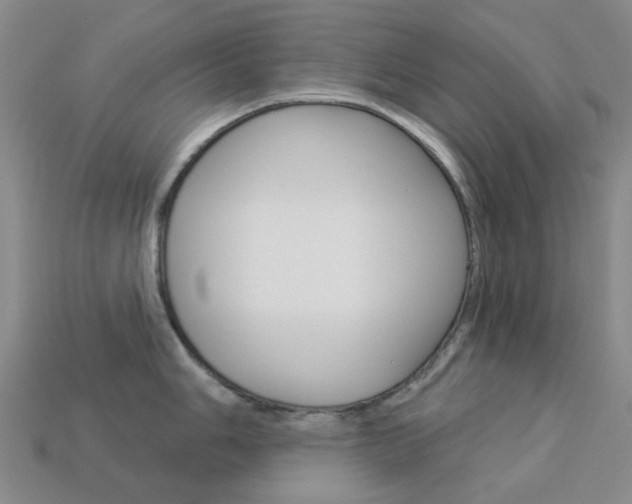 X0000114101006200910051226