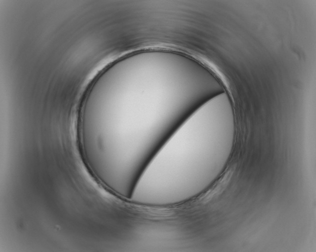 X0000114101007200910051226