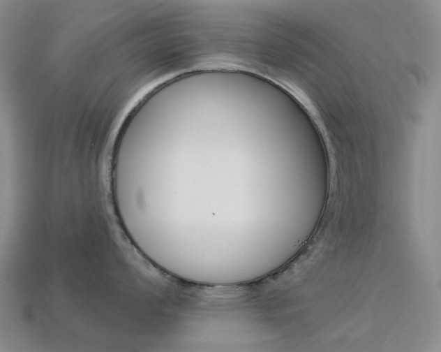 X0000114101008200910051226