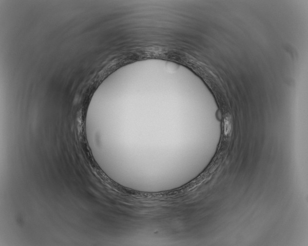 X0000114101011200910051226