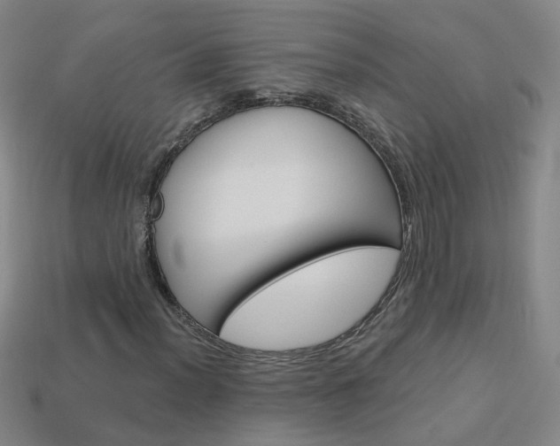 X0000114101012200910051226