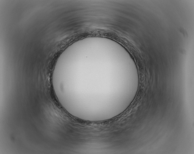 X0000114101013200910051226