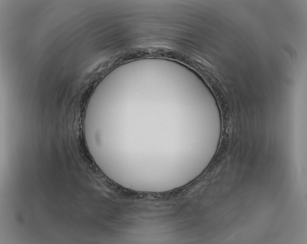 X0000114101014200910051226