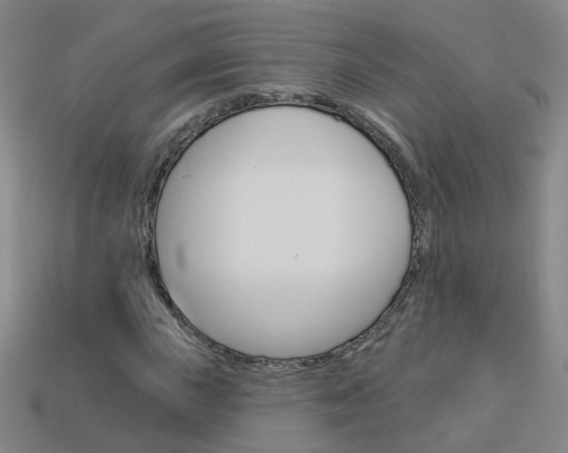 X0000114101015200910051226