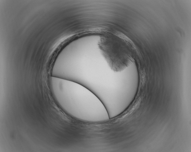 X0000114101019200910051226