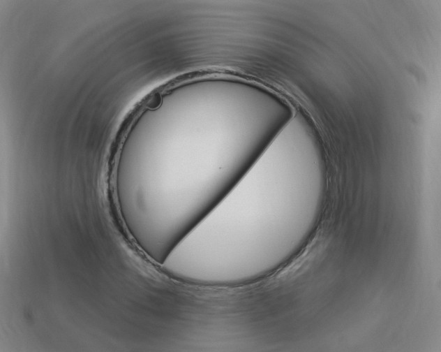 X0000114101020200910051226