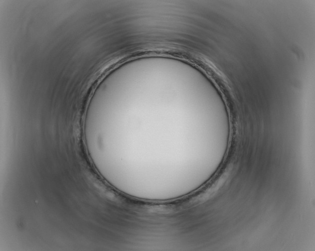 X0000114101025200910051226