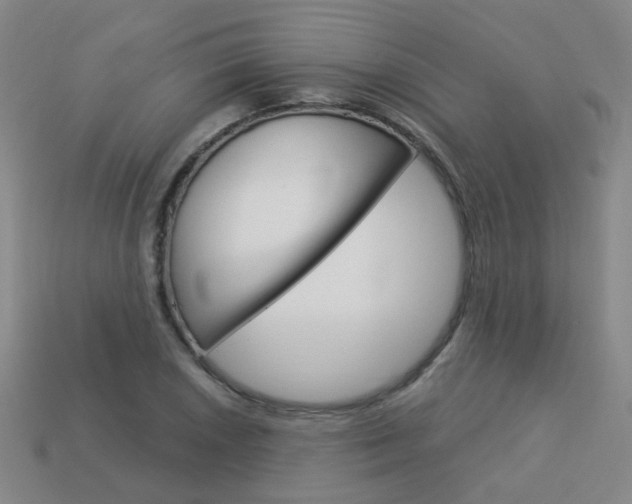 X0000114101026200910051226