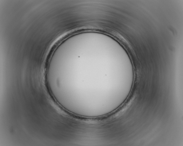 X0000114101029200910051226