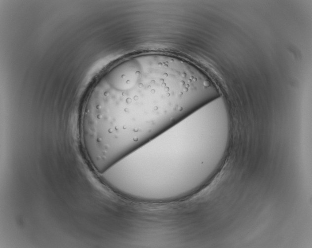 X0000114101030200910051226