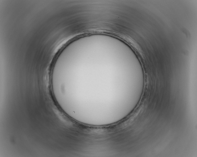X0000114101031200910051226
