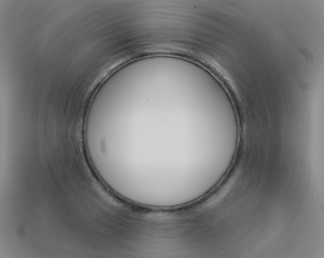 X0000114101033200910051226