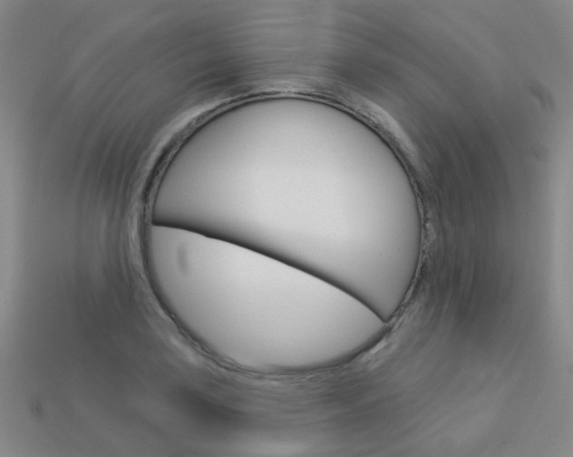 X0000114101035200910051226