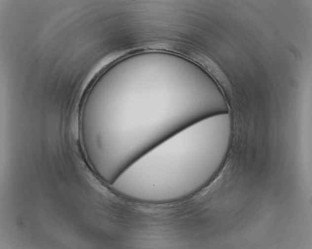 X0000114101036200910051226