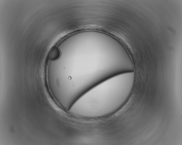 X0000114101038200910051226