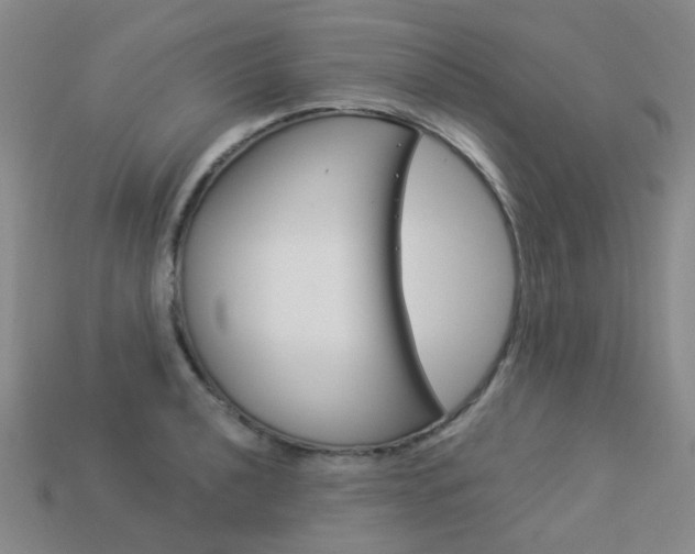 X0000114101040200910051226