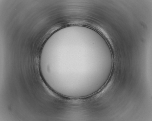 X0000114101041200910051226