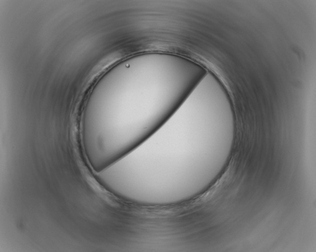 X0000114101042200910051226