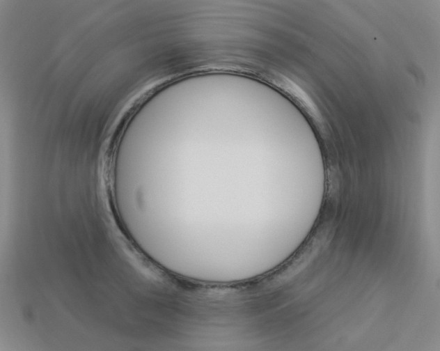 X0000114101043200910051226