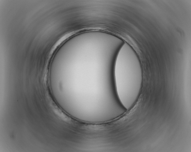 X0000114101044200910051226