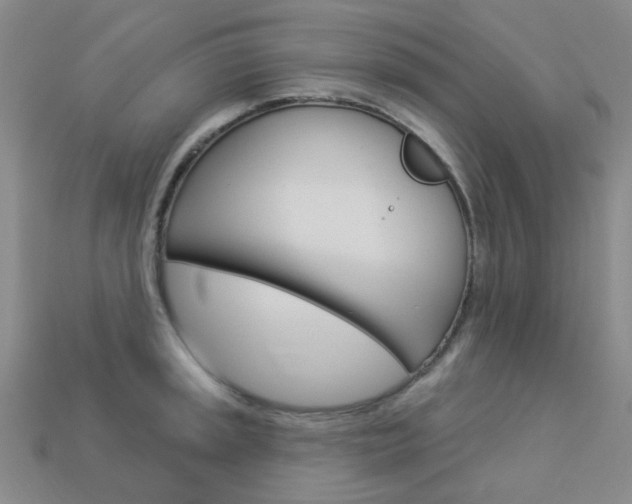 X0000114101045200910051226