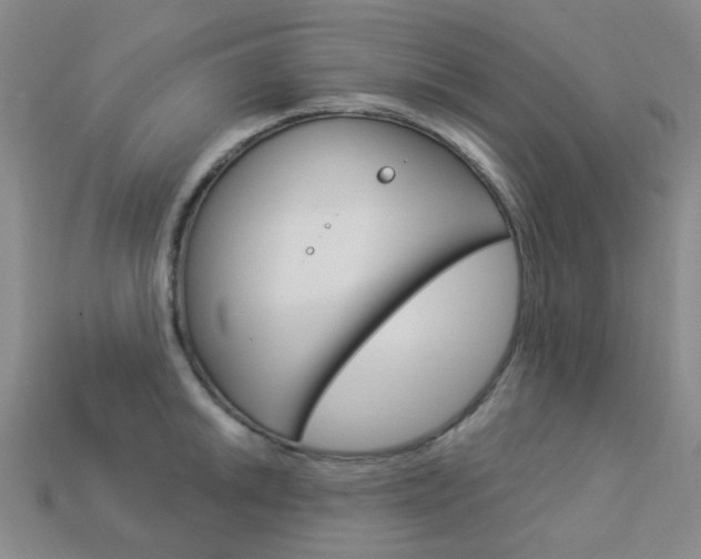 X0000114101046200910051226