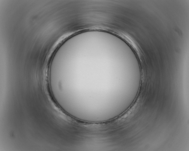 X0000114101048200910051226