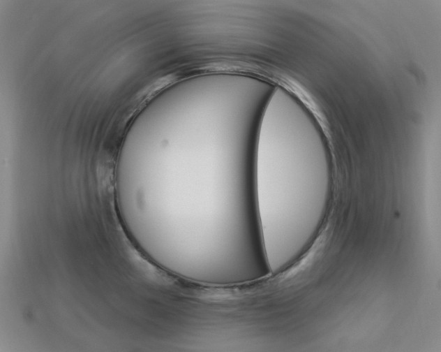X0000114101049200910051226