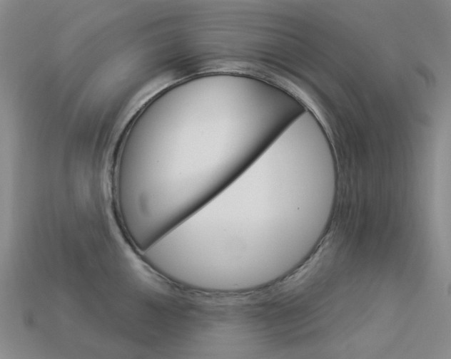 X0000114101050200910051226