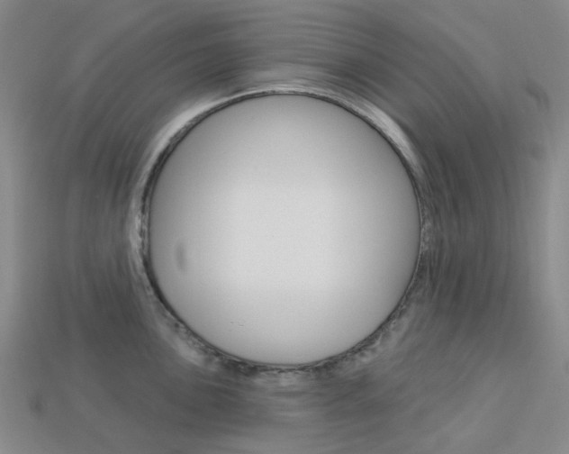 X0000114101051200910051226