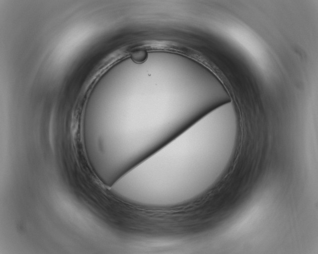X0000114101052200910051226